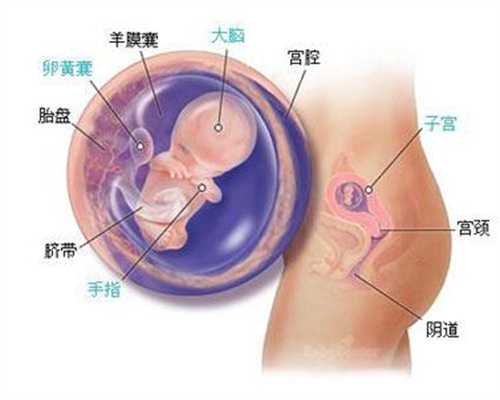 怀孕前注意进行口腔检查  小心“妊娠期龈试管婴儿70天流血瘤”