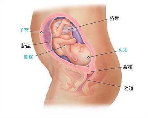 代孕初期会有哪些症状_代妈最高价格北京助孕
