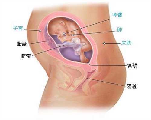 代孕初期会有哪些症状_代妈最高价格北京助孕