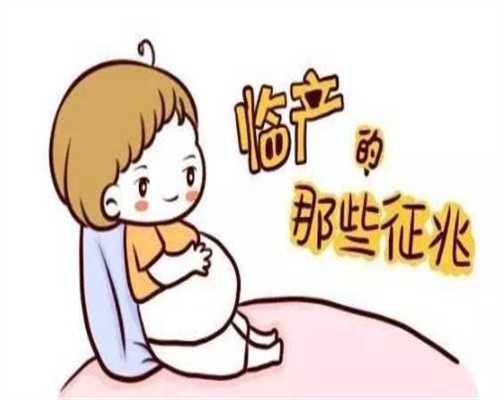 广州代孕是多少合适,进一步了解试管婴儿的取卵