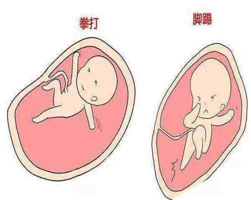 武汉代孕生子,孕妇怎么吃燕窝更有营养 孕期什么