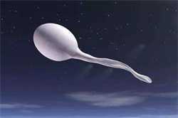 没卵巢能做供卵试管,卵巢早衰能做供卵试管吗？