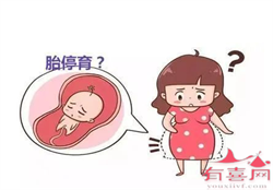 上海助孕热线，上海多学科专家线上会诊 助广西夫妇解决“二胎”生育难题